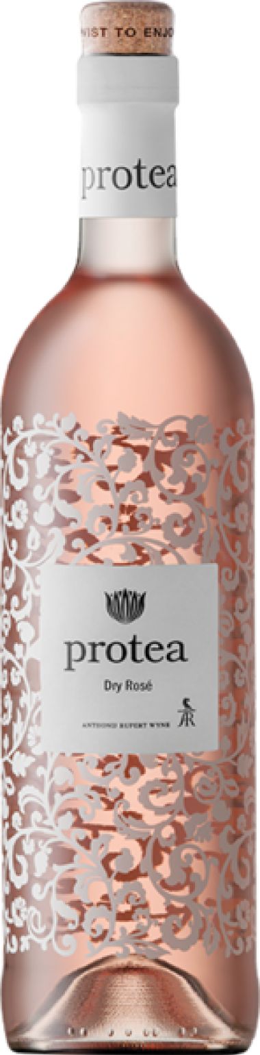 Protea Rose
