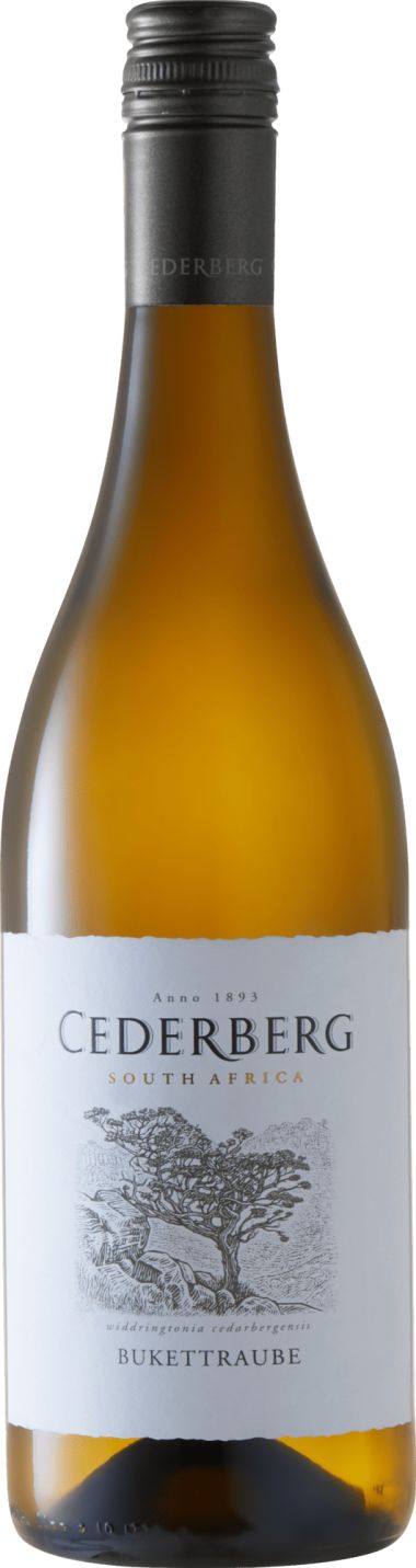 Webimage 6 D07 Ac3 D 9 F75 49 Da 8 E2822 Ad46 Cc6573