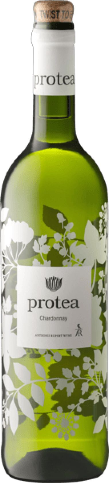 Ar Protea Range 001 Nv