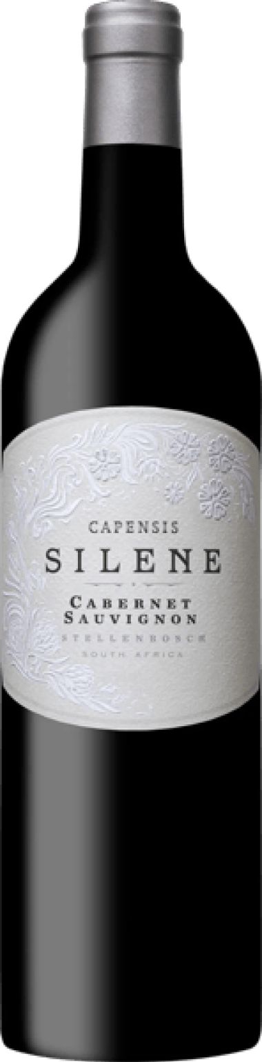 Capensis Simonsberg from Fijnbosch