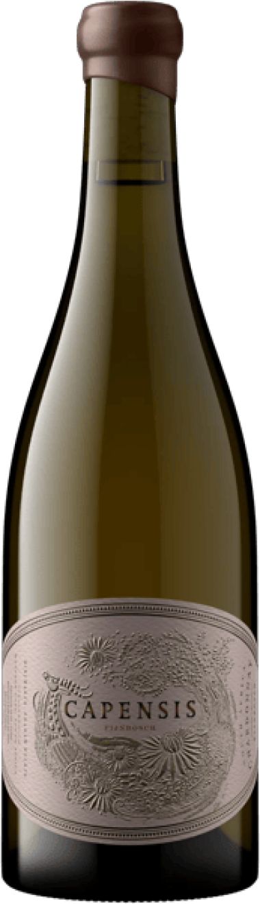 Capensis Simonsberg from Fijnbosch