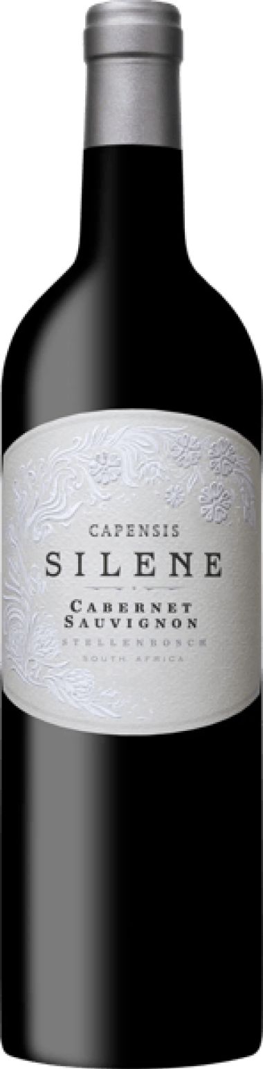 Capensis Simonsberg from Fijnbosch