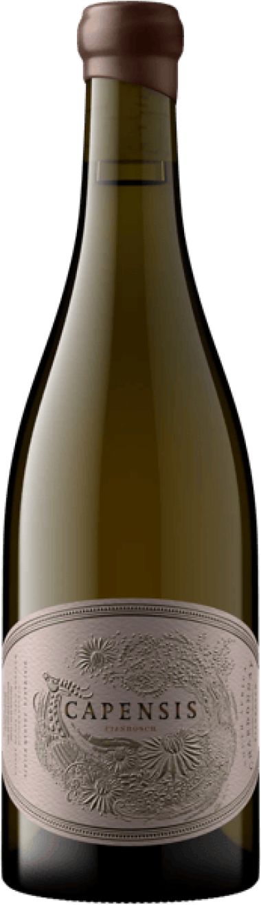 Capensis Simonsberg from Fijnbosch
