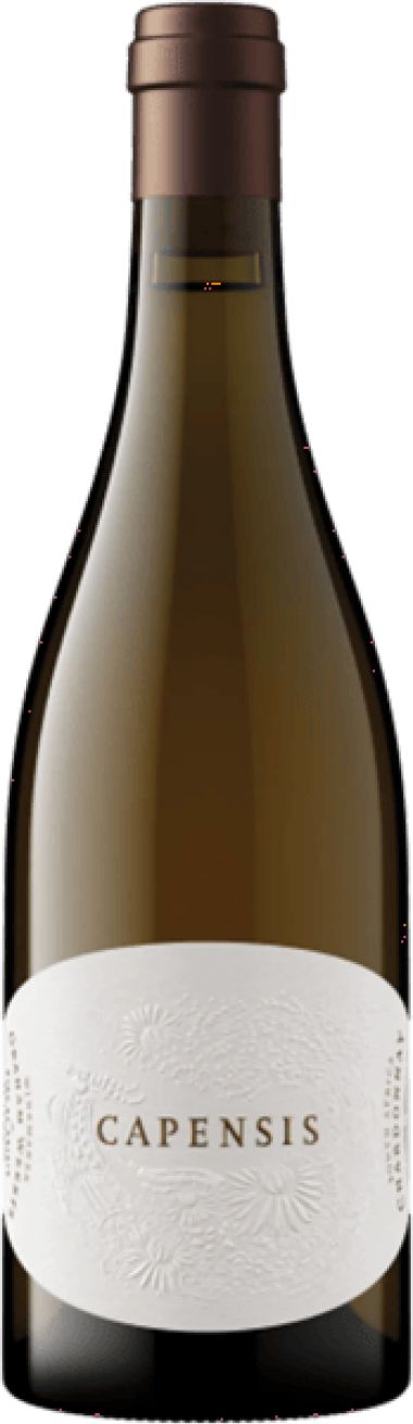 Capensis Simonsberg from Fijnbosch