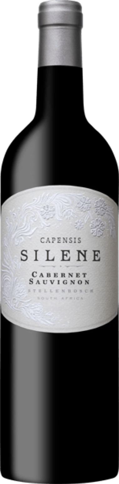 Capensis Simonsberg from Fijnbosch